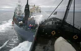 Clashes in the high seas between environmentalists and Japanese whalers 