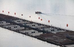 Salmon farms in the south of Chile 