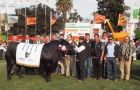 The breeders celebrating with the best Angus bull