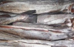 Hake is the main fisheries export item of both countries 