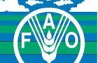 The day recalls the founding of FAO 16 October 1945