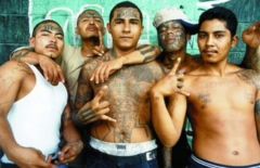 Gang warfare in El Salvador is the most common cause of violent deaths 
