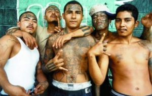 Gang warfare in El Salvador is the most common cause of violent deaths 