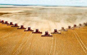 Global wheat harvest is estimated to increase 6% over last year 