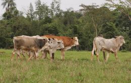 Livestock movement and transport in Paraguay strictly regulated