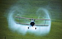 In some EU countries up to 25% of pesticides in agriculture are counterfeit 
