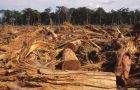 Every year an area the size of Costa Rica is lost to deforestation