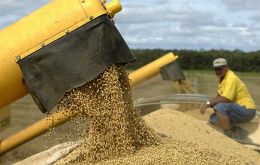 Brazil’s soy crop could loose 2 million tons 