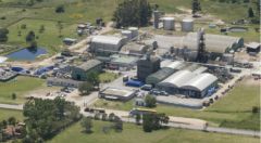 American Chemical in Uruguay has an annual production capacity of 81.000 tons 