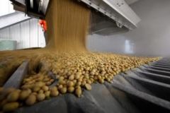 Soy bean export stocks are well below the normal average for this time of the year 