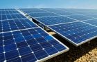 All manufacturers continued to produce massive quantities of solar panels despite overstocked inventories