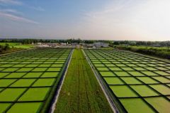 &ldquo;The trick is to convert CO2 from passive to active&rdquo; at the algae pits 