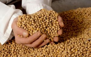 Soy beans have soared 30% in the last two months and 60% since last year 
