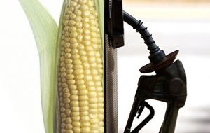Farmers would like to have ethanol production based on corn reduced 
