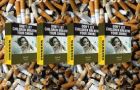 Six million people die every year because of tobacco products