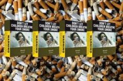 Six million people die every year because of tobacco products 
