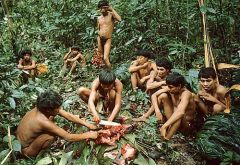 The Yanomami live deep in the Amazon jungle and are victims of violence by intruding miners 
