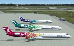 A next auction is scheduled for October first at Carrasco airport 