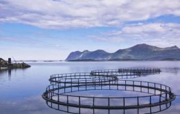 Aquaculture is the world’s fastest growing source of animal protein, growing by more than 60% between 2000 and 2008.