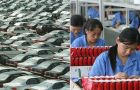 Falling demand for exports and a slowdown in investment as global crisis advances