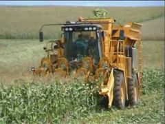 A tight year ahead for corn because of the poor US harvest 