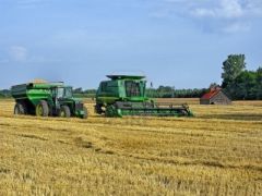 Wheat harvesting has also been delayed and the crop estimate was lowered 5% by the government 