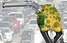 Argentina is the world’s leading exporter of bio-diesel