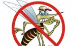 The Aedes mosquito is in over 150 countries and the dengue threat exists all across the globe
