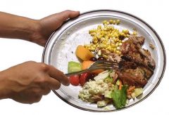 Food waste is not only immoral but strains water and soil resources according to UK IMechE Institute