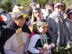 Mapuches make up 6% of the Chilean population and represent significant numbers in two Patagonian regions  