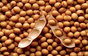  Brazil is displacing the US as the world’s main soybean exporter 