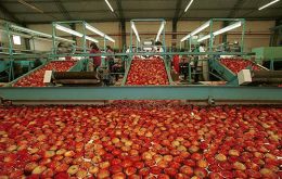 Despite Brazilian demand apples and pears exports income was down 135 million dollars last year 