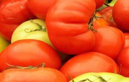 Government tells Argentines to stay away from expensive tomatoes and go after other fruits and vegetables  
