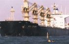 The 60.000-tons of GMO corn have already been accepted and unloaded in China