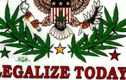 Voters in the states of Colorado and Washington approved the legalization of marijuana in referendums