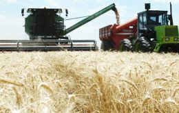 Adverse climate conditions are also threatening the November/December wheat harvest 
