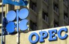 But IEA dismisses reports that shale oil could weaken OPEC role in world supply