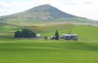 The price of land in Uruguay has increased nine-fold in the last twelve years and the country fears the advance of sovereign funds