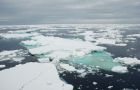 Researchers said they always anticipated Antarctica would be different but they never expected this difference to be so huge