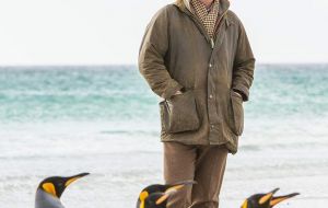 Visiting the King Penguins at Volunteer Point (Pic by Derek Pettersson)