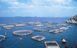 Aquaculture production is estimated at 67 million tons in 2012 and 70 million tons for 2013