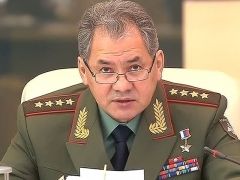  Defense minister Shoigu made the announcement 