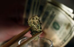 Sales were estimated at 14 million dollars from 59 marijuana firms 