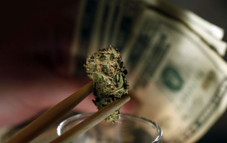 Sales were estimated at 14 million dollars from 59 marijuana firms 