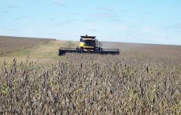 It's soybean harvest time in South America and silos are binging 