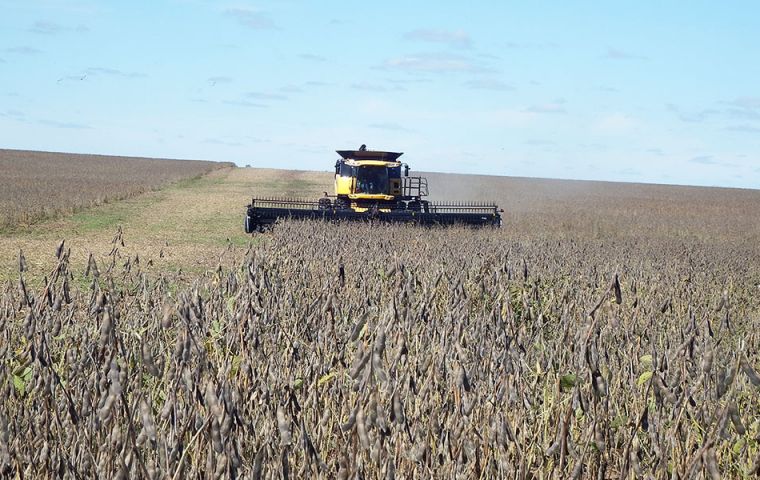 It's soybean harvest time in South America and silos are binging 
