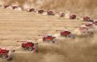 Soy, corn and rice take up 85% of the planted area and 91% of total production