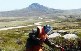 Experts helping to clear some of the minefields close to Stanley, planted by the Argentines 