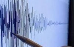 The country's Geophysics Institute said the quake occurred at a depth of five kilometers and was followed by a forceful aftershock. 