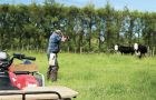 Cattle is usually shot and slaughtered in the field, and later sold to local butchers or turned into sausages or minced meat